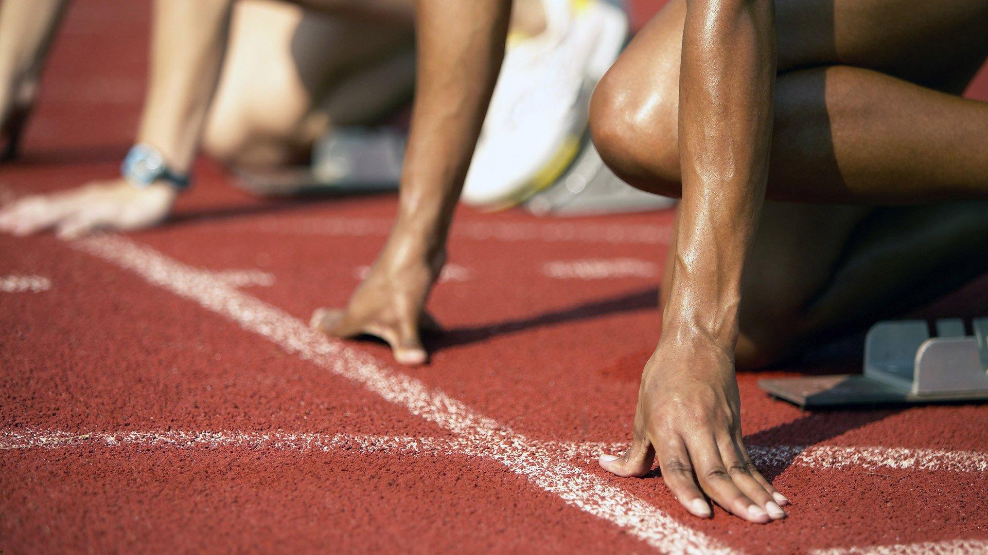 中国跳水队包揽世锦赛全部金牌 创历史最佳战绩